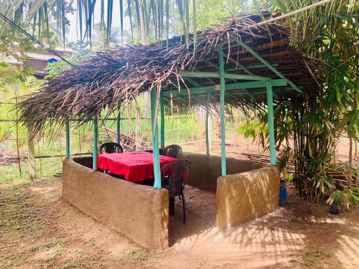 Bamboo Home Stay Hiriketiya Діквелла Екстер'єр фото