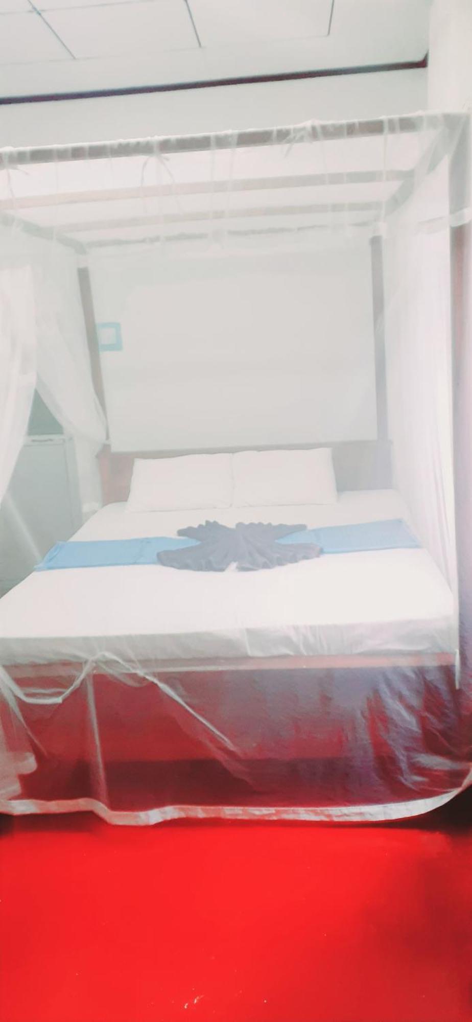 Bamboo Home Stay Hiriketiya Діквелла Номер фото